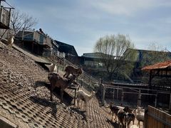 -北京鹿世界主题园