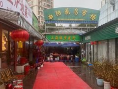 -曲阳花鸟市场(曲阳路店)