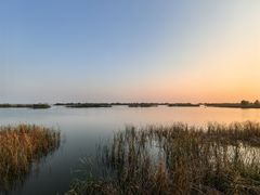 -苏州太湖湖滨国家湿地公园