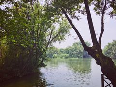 -西溪国家湿地公园