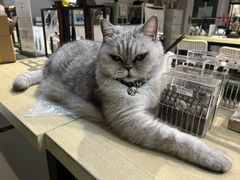 -Oasis绿洲银饰珍珠手作diy(壹方城店)