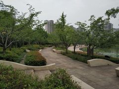 -新江湾城公园
