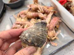 -仙螺岛海鲜自助餐厅(总店)