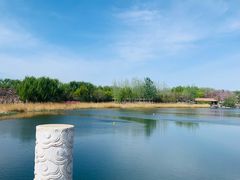 -大兴滨河森林公园