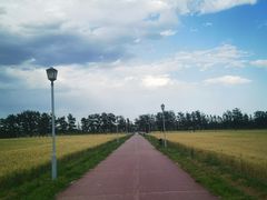 -瀛海足球主题公园