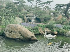 -罗红摄影艺术馆