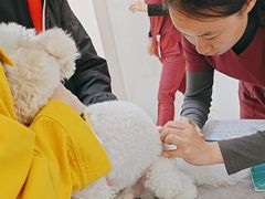 -美联众合动物医院·24h京西诊疗中心