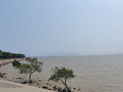 -深圳湾公园(南山区)