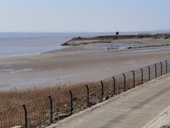 -观潮胜地公园