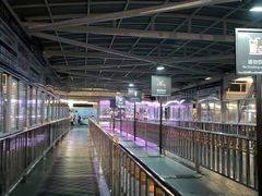 -武汉关码头(轮渡站)