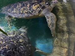 -多彩贵州城极地海洋世界