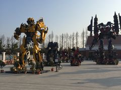 -上海长兴岛郊野公园