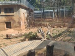 -昆明动物园