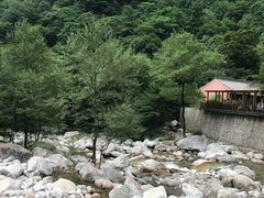 -青峰峡国家森林公园