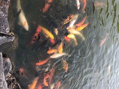 -珠海圆明新园