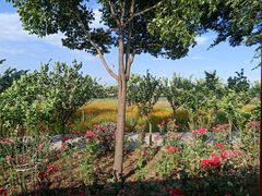 -歌斐颂巧克力小镇