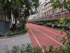 -上海市黄浦区卢湾第一中心小学