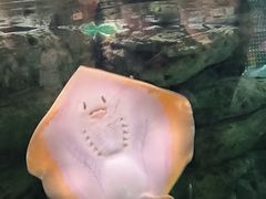 -珠海长隆海洋王国