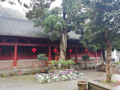 -普陀山风景名胜区-法雨禅寺