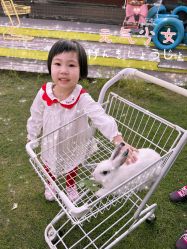 -小蜜蜂农场(凯德七宝购物广场店)