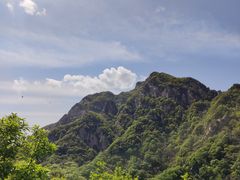 -王顺山国家森林公园