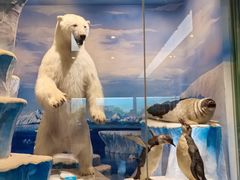 -国家自然博物馆