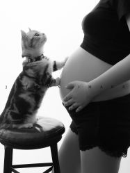 -专注孕妇照亲子照·纪田摄影