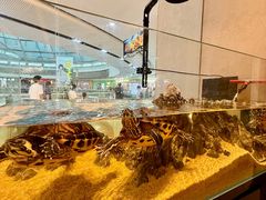 -北李妈妈菜·海肠捞饭(高新万达店)