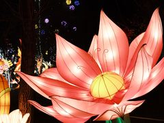 -金沙遗址博物馆