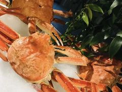 -蓝钻·国际美食海鲜自助百汇(西直门店)