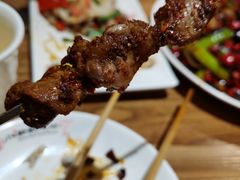-福苗小骆驼烧烤(莲湖路店)