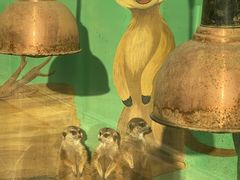 -秦皇岛野生动物园