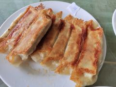 -青岛锅贴(四流中路店)