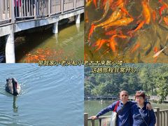 -沂蒙山旅游区云蒙景区(蒙山国家森林公园)
