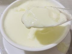 -老周记顺德双皮奶