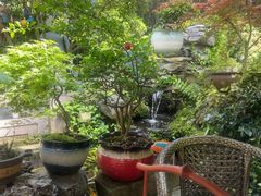 -龙井壹号·茶缘山景宴(龙井村店)
