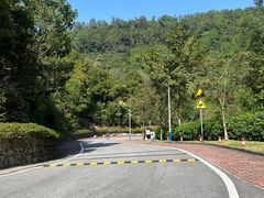 -火炉山森林公园