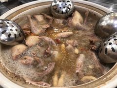 五指毛桃药膳乳鸽-鸽鸟轩(石岐店)