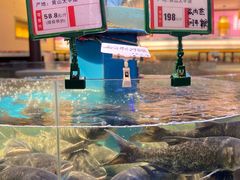 -魏铭鱼头捞饭(晋阳路店)