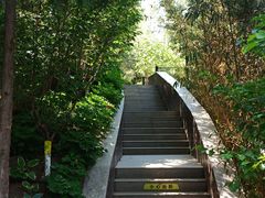 -太阳宫公园