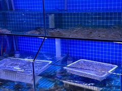 -面道赞宁海海鲜面(迎凤街店)