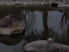 -南通洲际绿博园