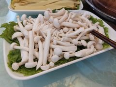 -老毛手抓·盐池滩羊非遗手抓(宁夏总店)