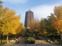 -玲珑塔公园