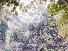 -苏州市立医院本部母子保健中心