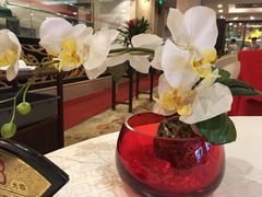 大堂-顺峰海鲜酒楼(省府店)