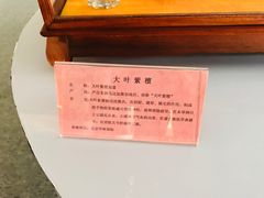-法门文化景区