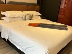 -朵兰达V酒店(成都春熙路太古里国金中心店)
