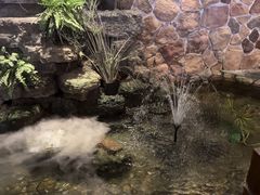 -山芋腔苏北菜(盐城滨海店)