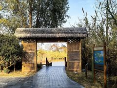 -泗洪洪泽湖湿地景区